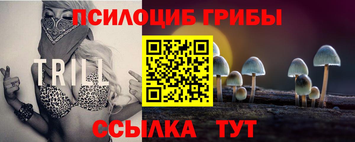 Галлюциногенные грибы Psilocybine cubensis  Вход с VPN  Камень-на-Оби  Галлюциногенные грибы мухоморы 